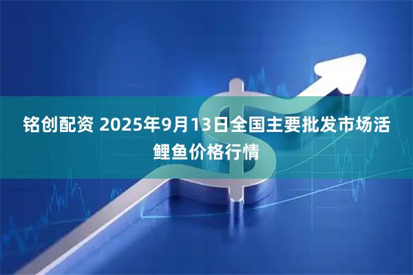 铭创配资 2025年9月13日全国主要批发市场活鲤鱼价格行情