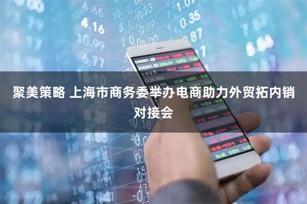 聚美策略 上海市商务委举办电商助力外贸拓内销对接会