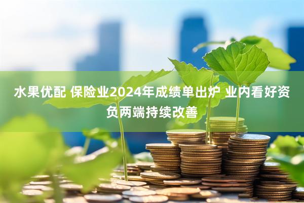水果优配 保险业2024年成绩单出炉 业内看好资负两端持续改善