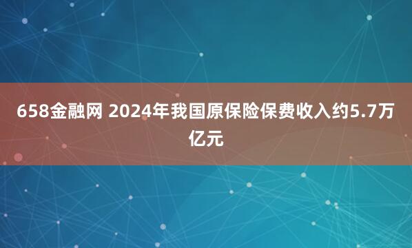 658金融网 2024年我国原保险保费收入约5.7万亿元