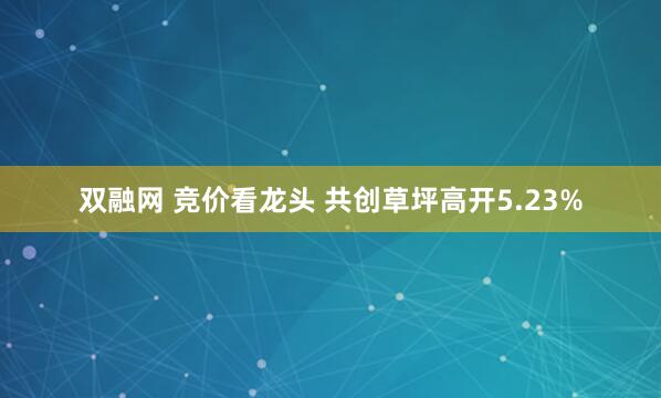 双融网 竞价看龙头 共创草坪高开5.23%