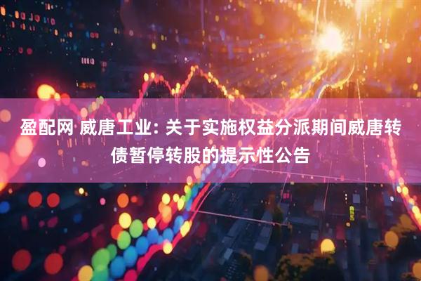 盈配网 威唐工业: 关于实施权益分派期间威唐转债暂停转股的提示性公告