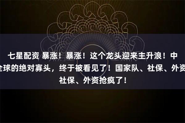 七星配资 暴涨！暴涨！这个龙头迎来主升浪！中国乃至全球的绝对寡头，终于被看见了！国家队、社保、外资抢疯了！